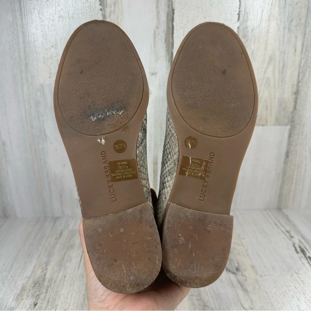 Lucky Brand Flats Women's 7M Cahill Gray Snake Print Cahill Slip On Leather Shoe